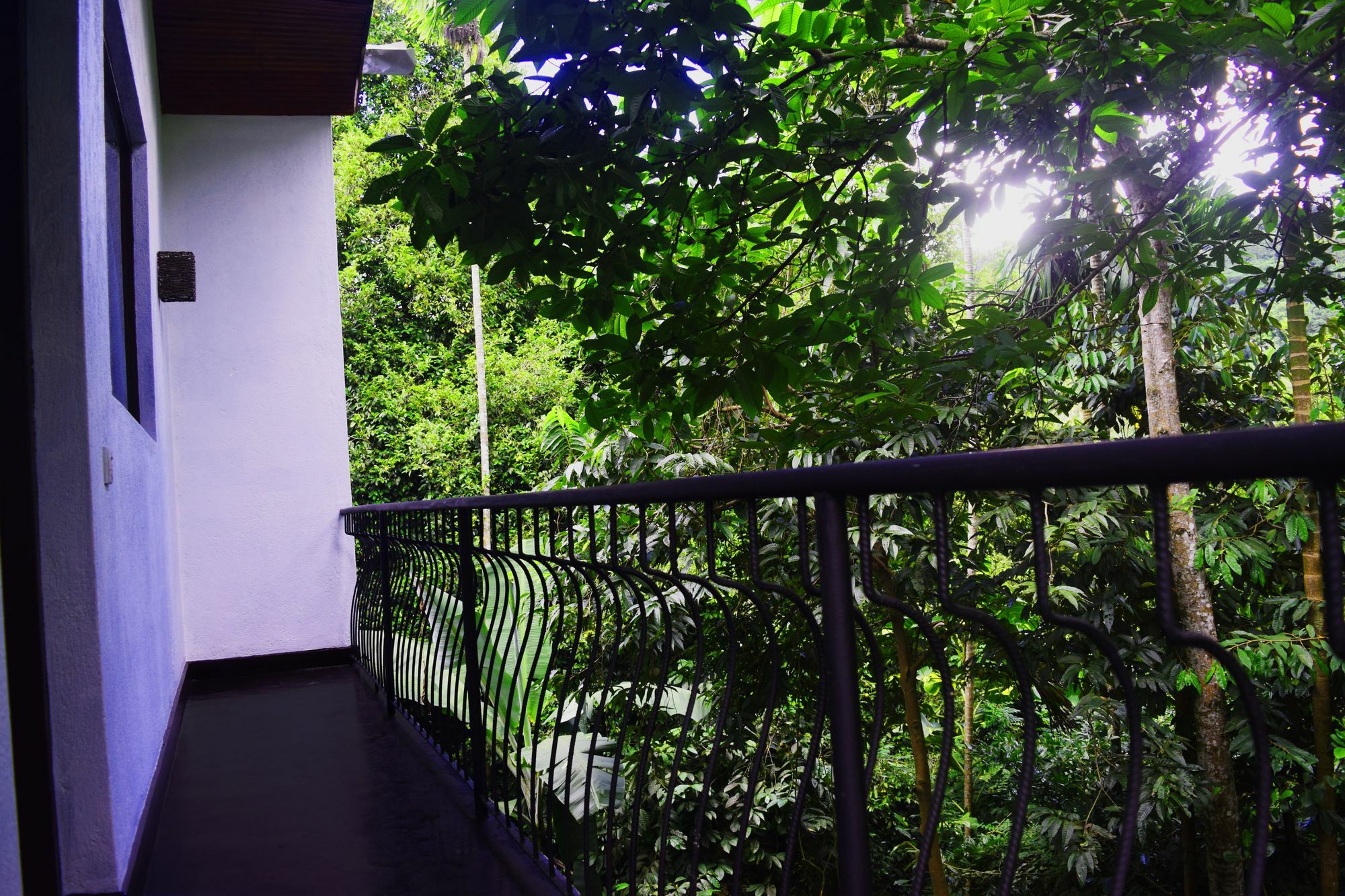 Avaana By Springhills Hotel Kandy Exterior photo