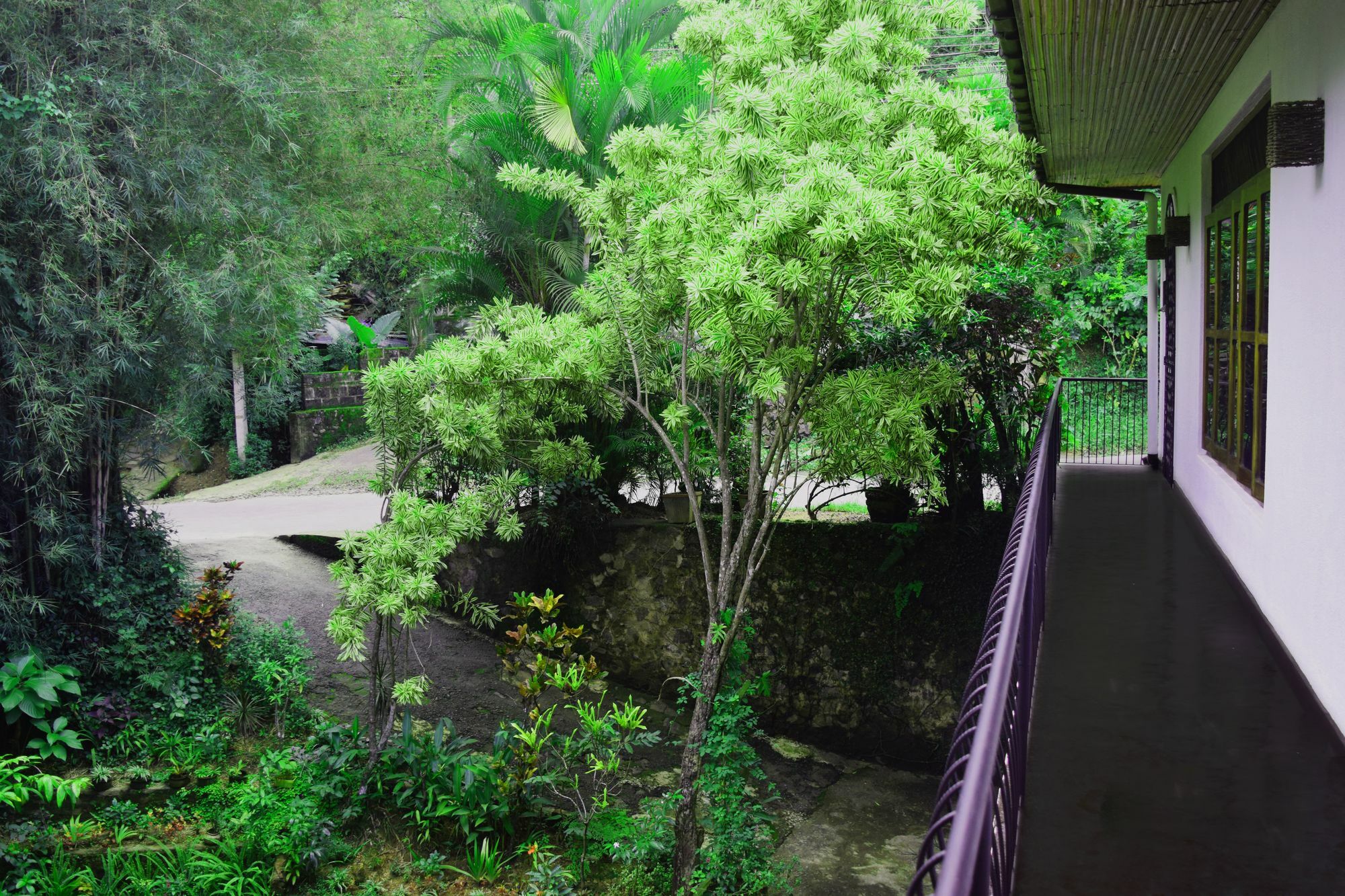 Avaana By Springhills Hotel Kandy Exterior photo